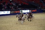 Quadrille - 00162